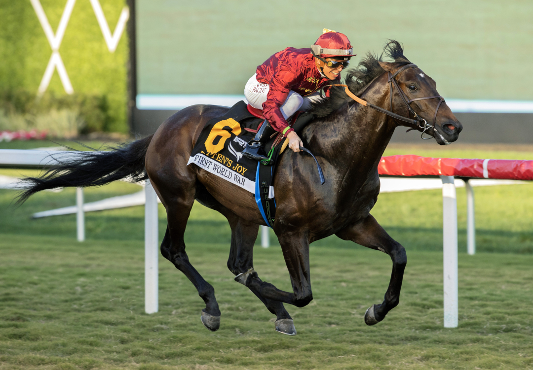 First World War returns to turf winner s circle in Kitten s Joy Stakes